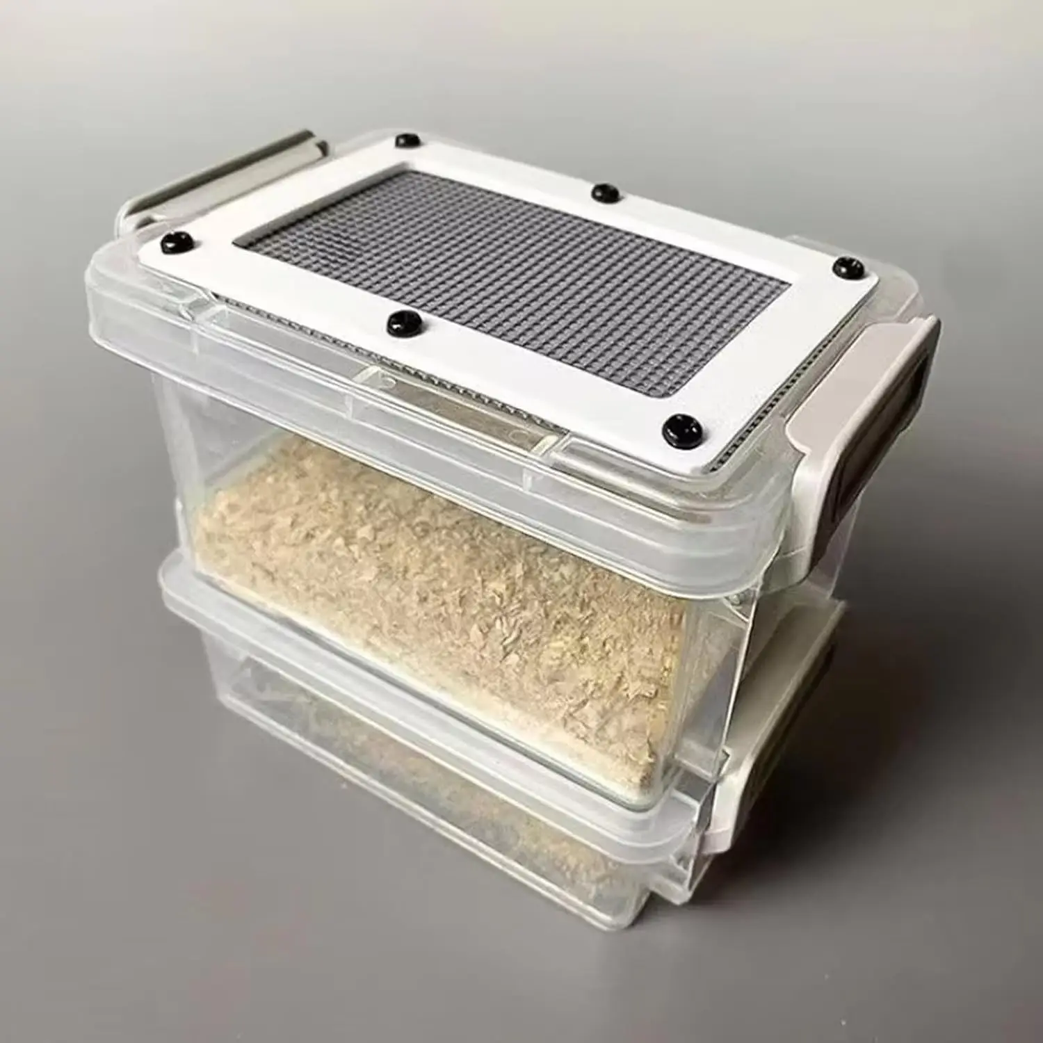 Caixa Alimentadora para Répteis Transparente com 2 Camadas - Imagem 4