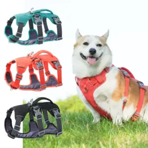 colete refletivo para cães de nylon