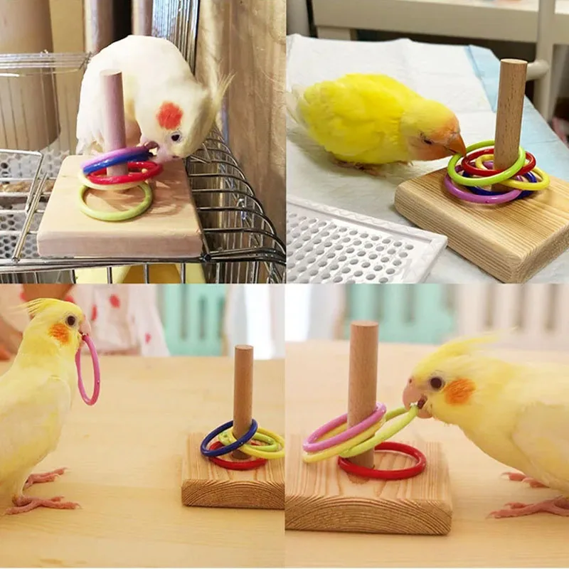 Brinquedo de Treinamento para Papagaios Grandes Durável e Lavável - Imagem 3