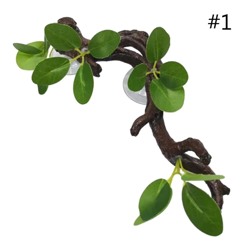 planta de canto para terrário de répteis