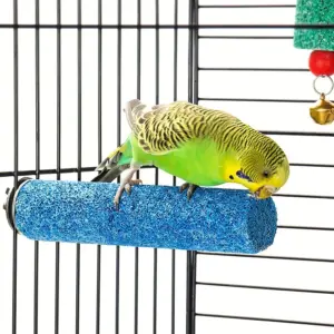 poleiro para pássaros de madeira