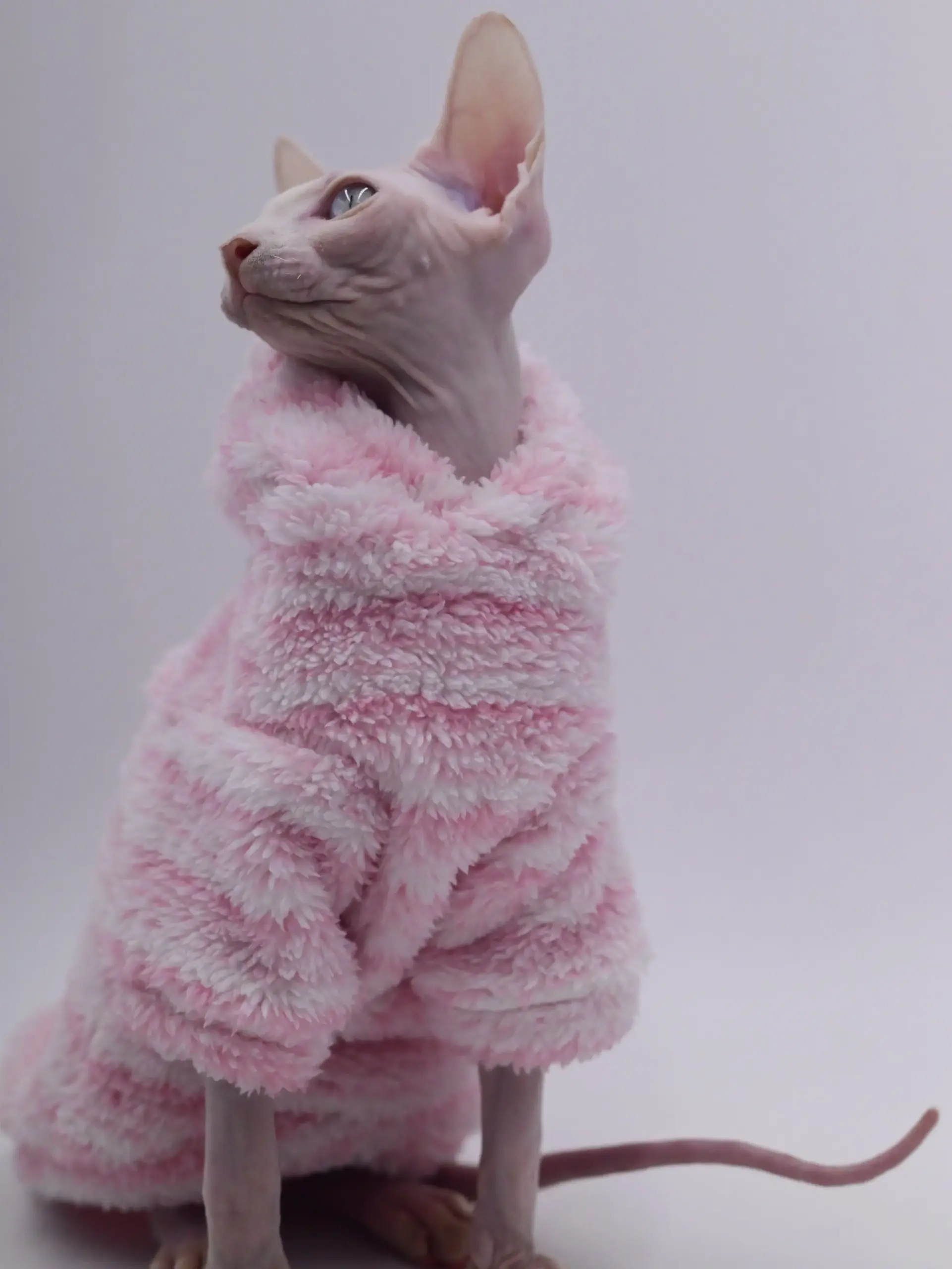 Cardigan Pet de Fleece para Gatos Sem Pelo G - Image 2