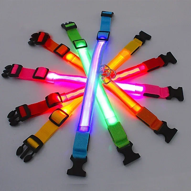 Coleira LED para Cães de Nylon com Brilho Noturno - Image 6