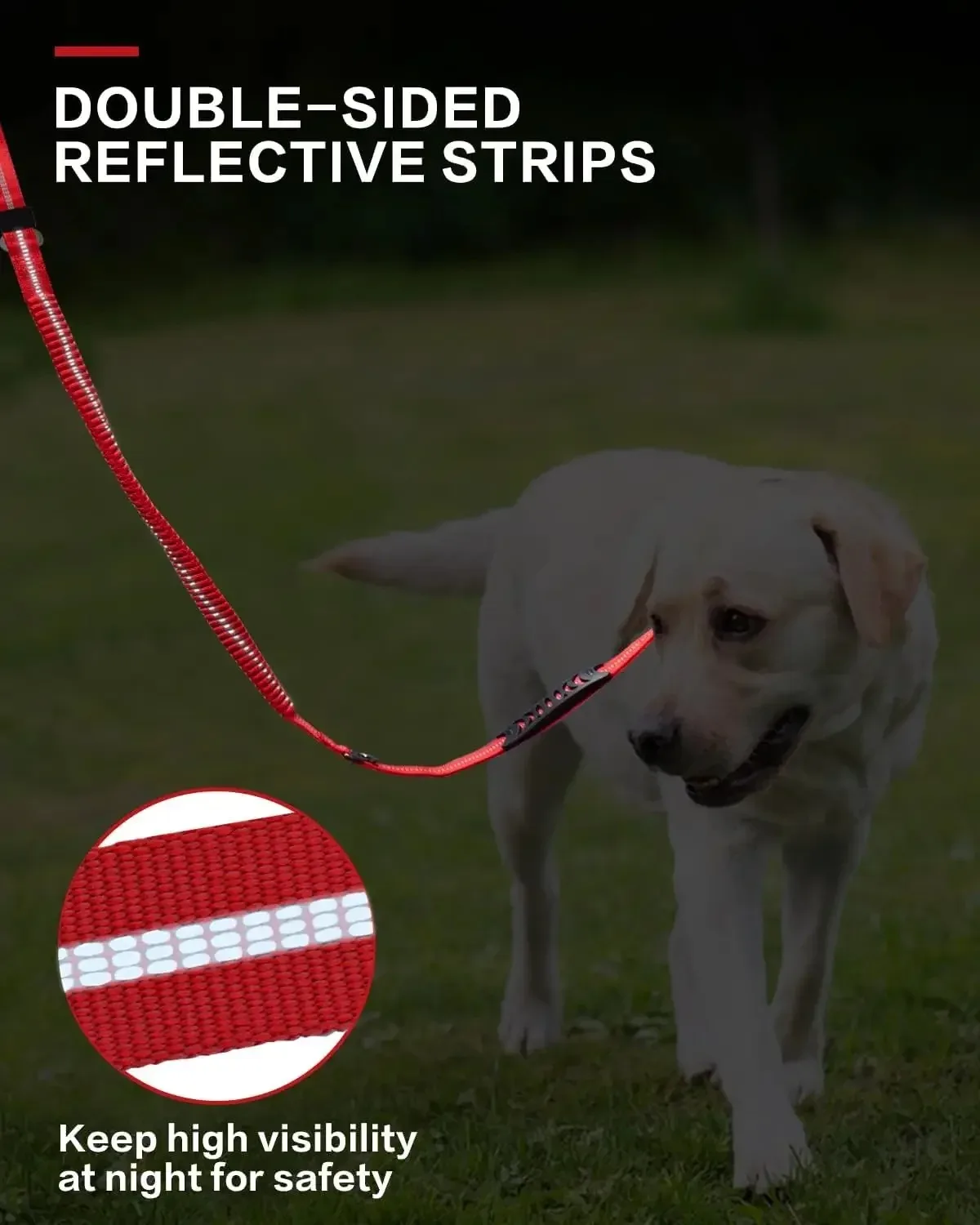 Coleira Tática para Cães com Guia Elástica de 1,2-1,8m e 2 Alças - Imagem 4