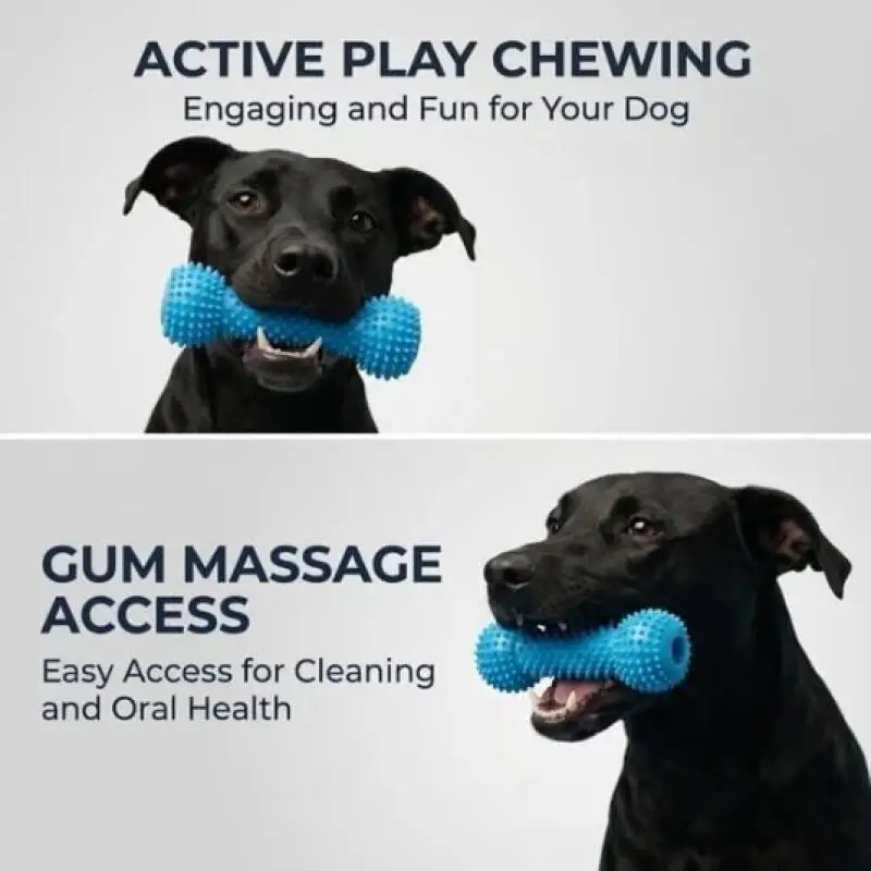 Brinquedo Dental para Cães com Alça para Segurar na Boca - Imagem 5
