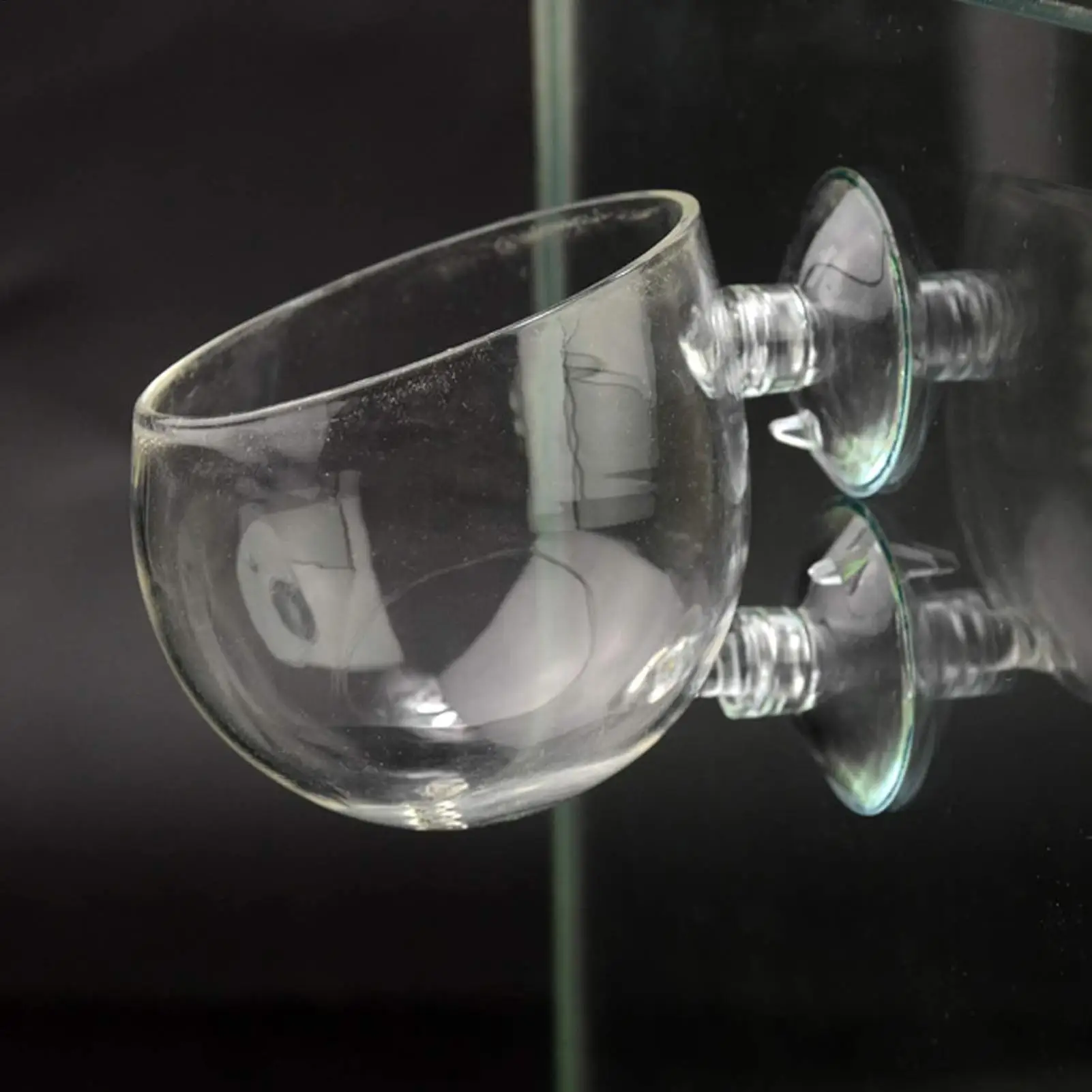 Vaso de Vidro para Plantas de Aquário com Ventosas para Fixar - Imagem 2