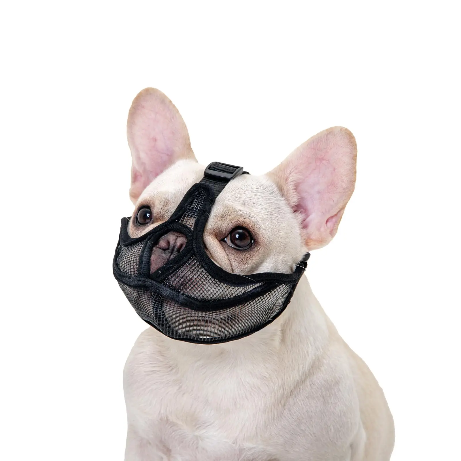 Focinheira para Cães de Focinho Curto Malha Ajustável Respirável - Image 4