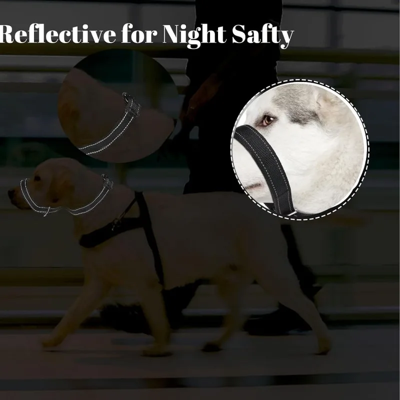 Guia para Cães Médios e Grandes 180 cm com Faixa Refletiva - Imagem 5