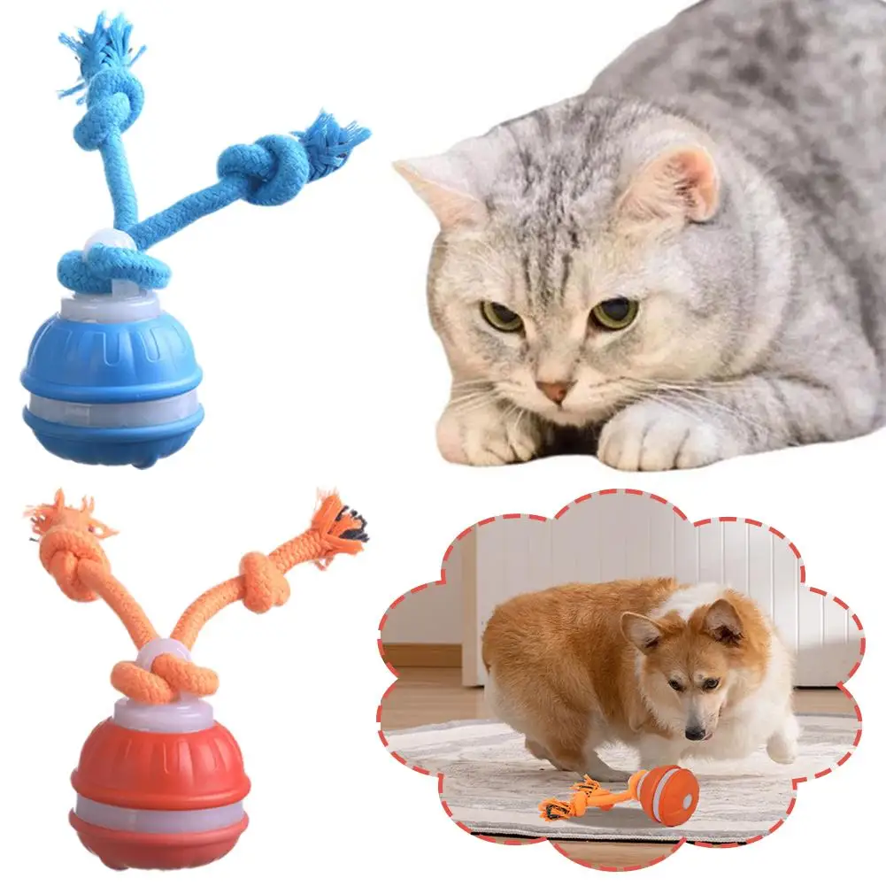 bola interativa para cães recarregável