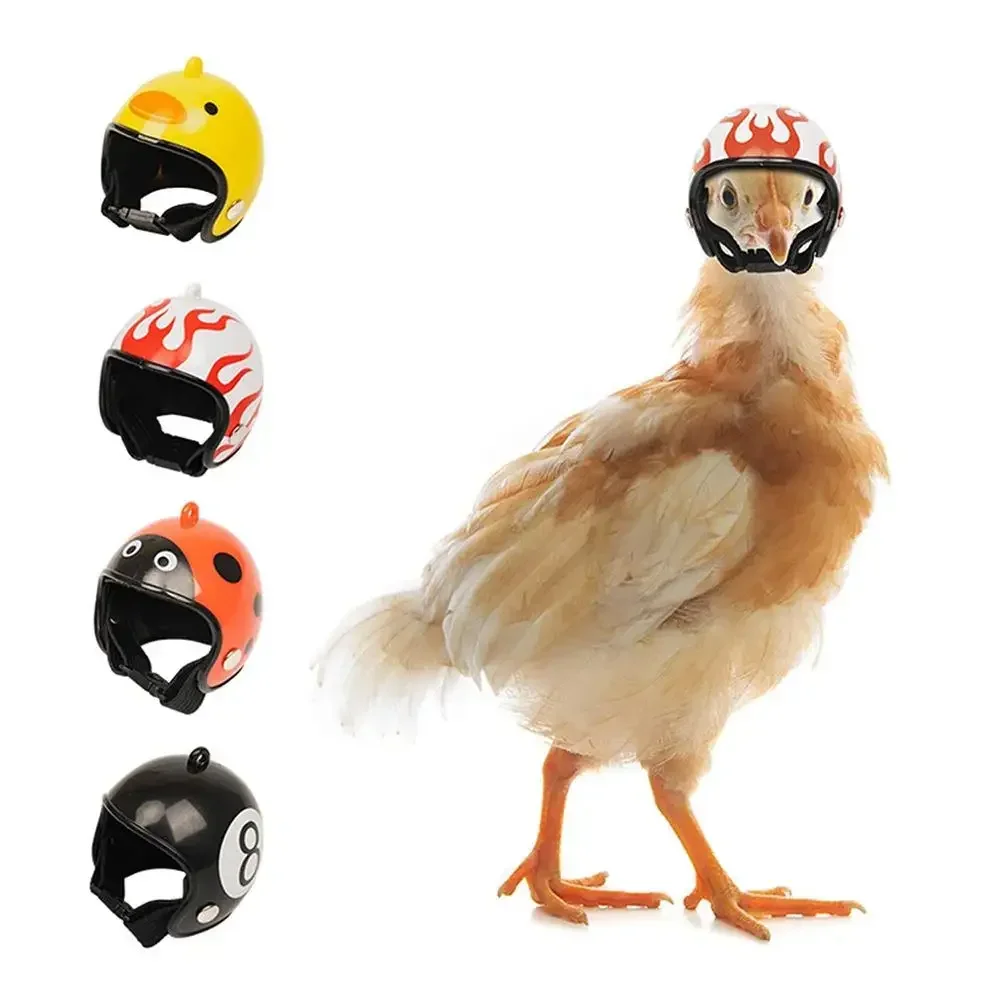 Capacete de Frango para Pássaros Pequenos com Elástico Ajustável - Imagem 2
