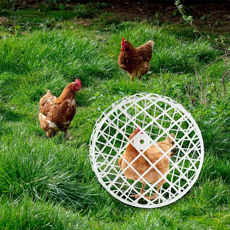 Gaiola Portátil para Aves e Pequenos Animais com Rodas e Anti-fuga - Imagem 5