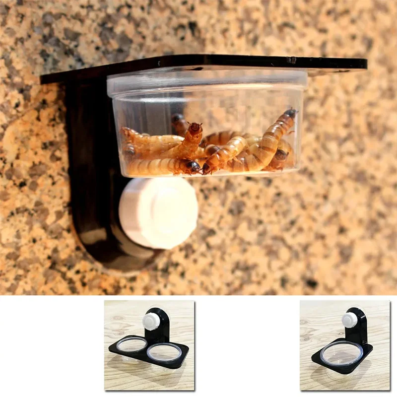 Tigela para Répteis com Ventosa para Terrário - Imagem 3