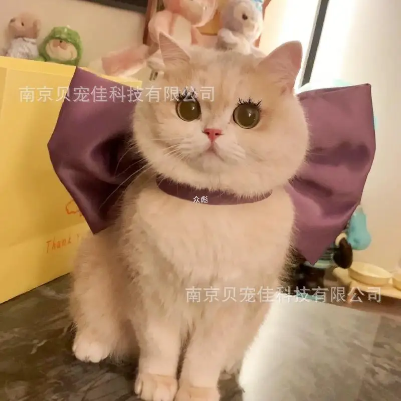 Coleira Laço para Gatos Decorativa Branca - Imagem 2