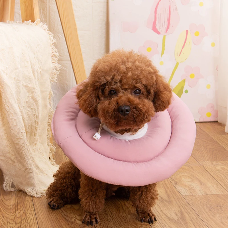 Coleira Elizabetana para Cães Ajustável com Cordão - Imagem 4