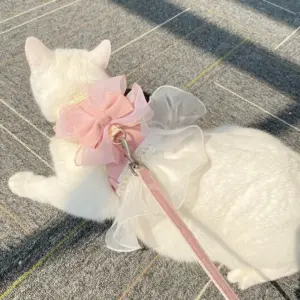 coleira e arnês para gatos de nylon