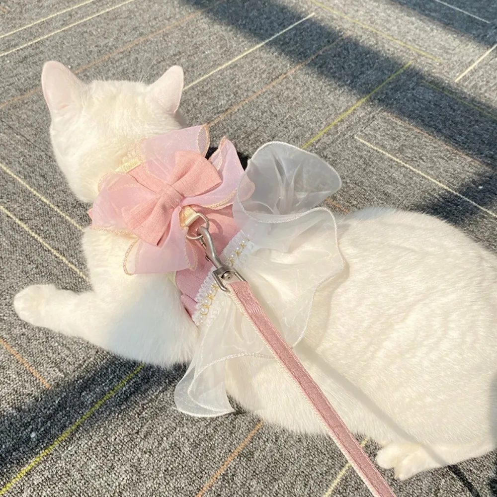 coleira e arnês para gatos de nylon