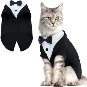 colete para gato com gravata