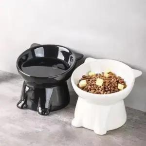 tigela elevada inclinada para gatos