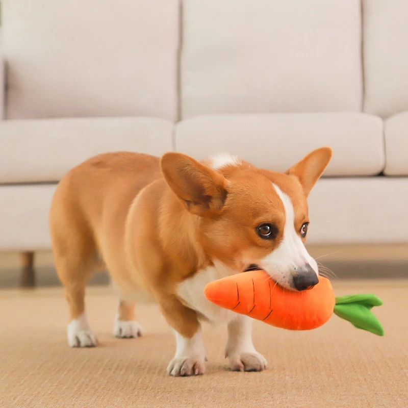 Brinquedo Cenoura para Cães de Pelúcia com Som para Morder - Imagem 4