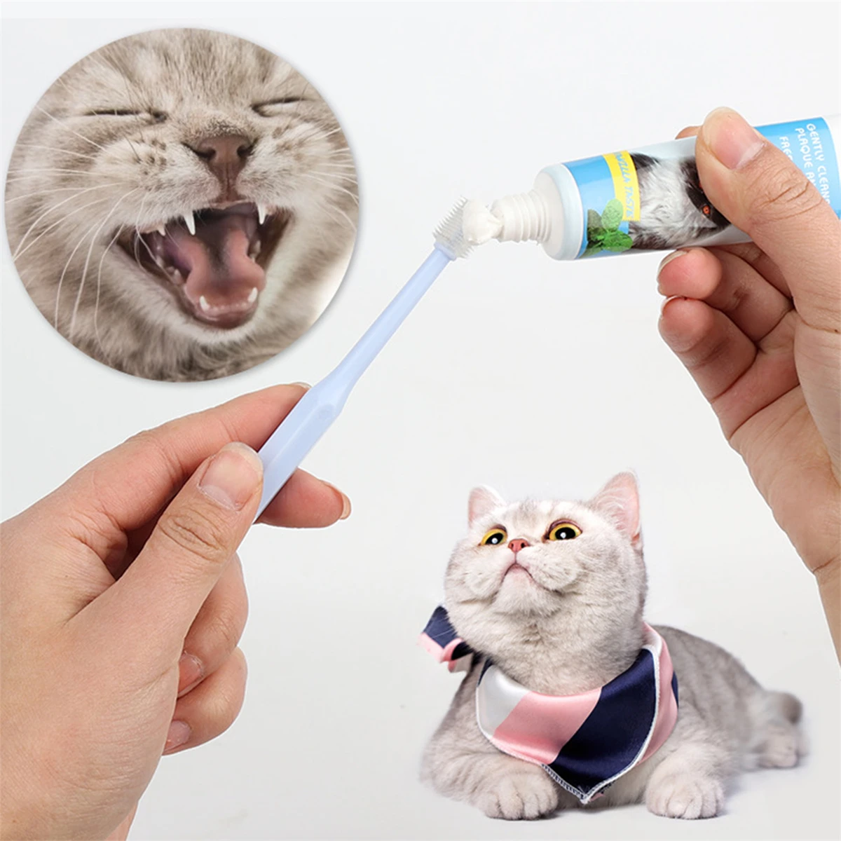 Escova Dental para Cães e Gatos Pequenos 360 Graus com Cerdas TPE - Imagem 5