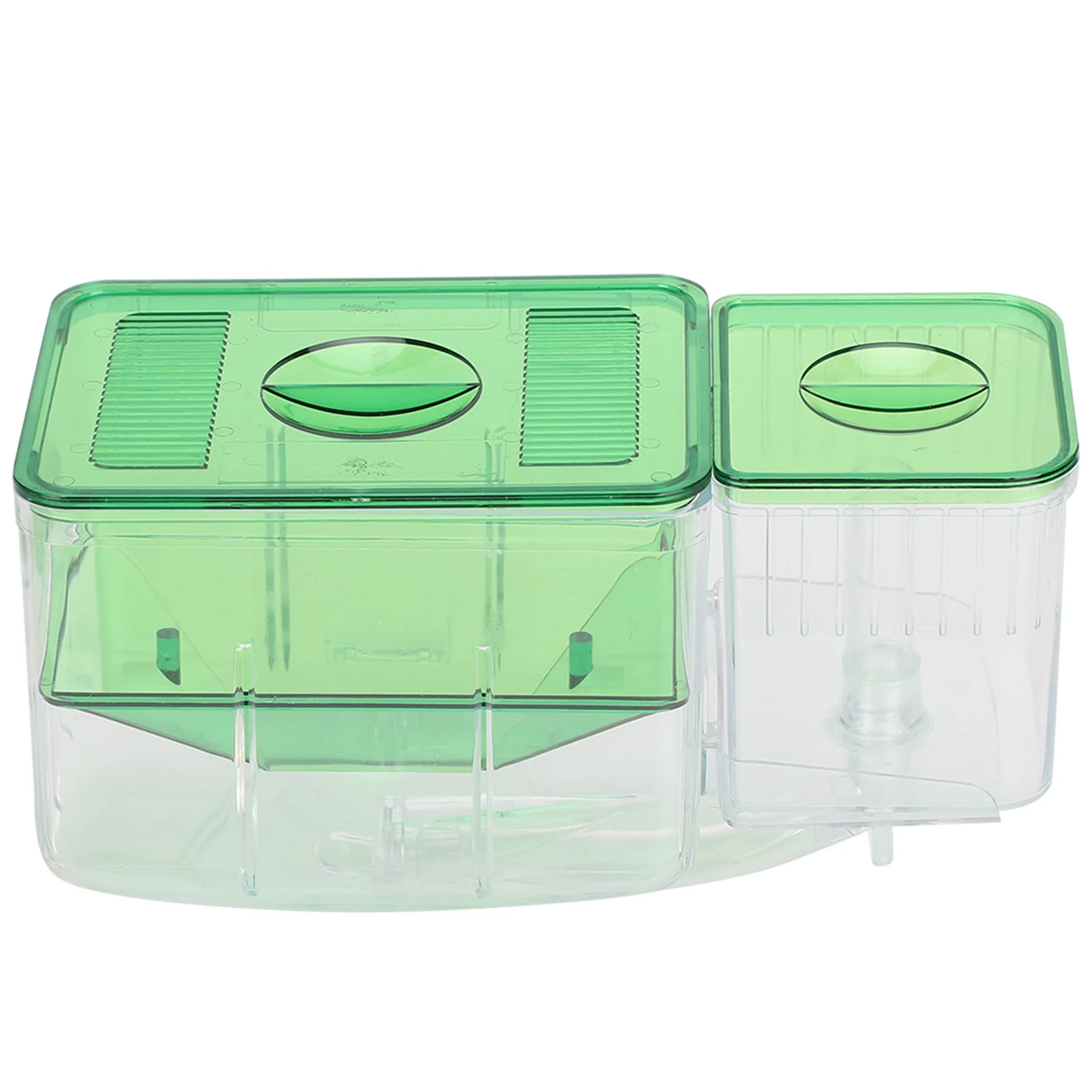 Incubadora de Aquário para Peixes Pequenos Dupla Camada - Imagem 4