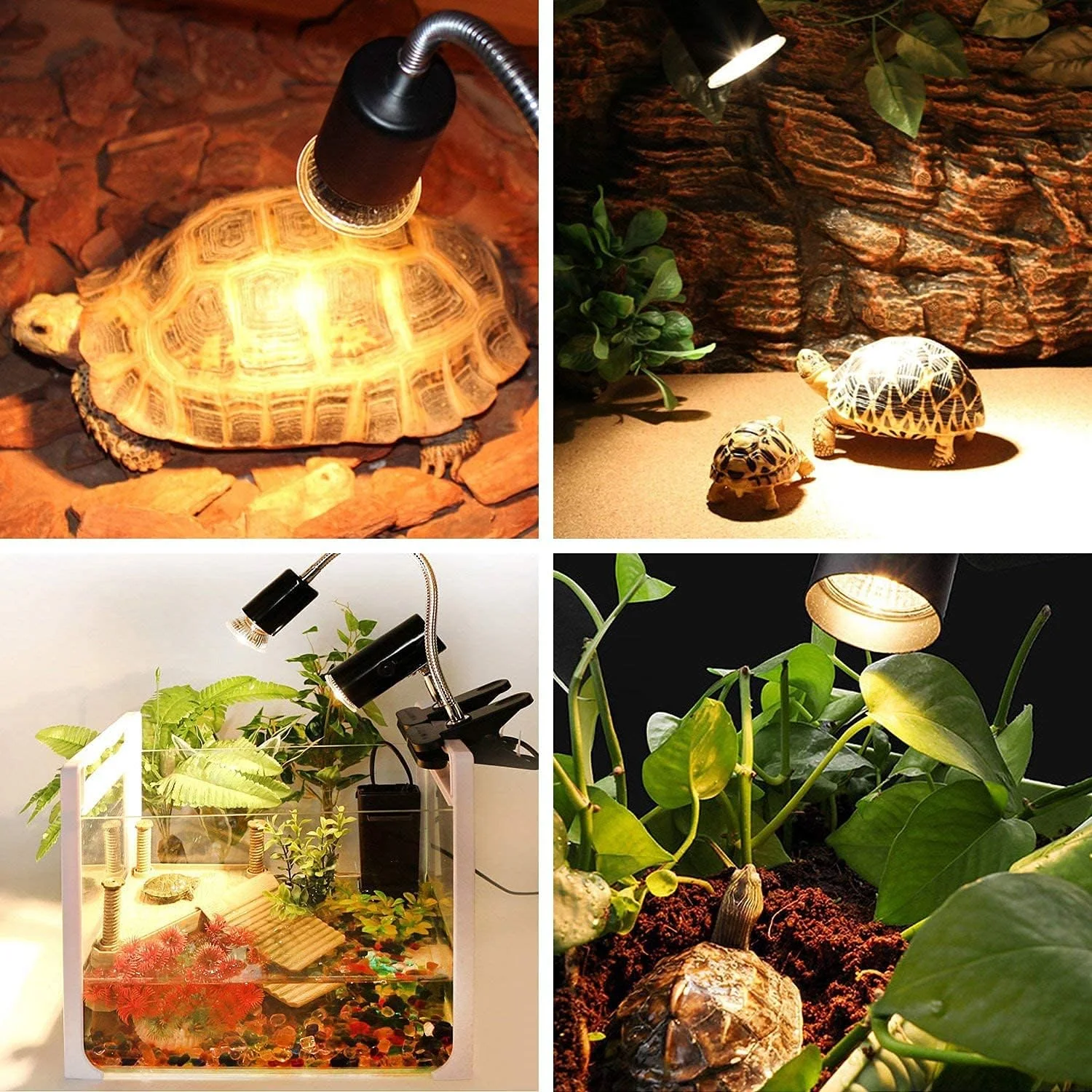 Lâmpada UVA UVB para Répteis 25W E27 Espectro Completo - Imagem 4