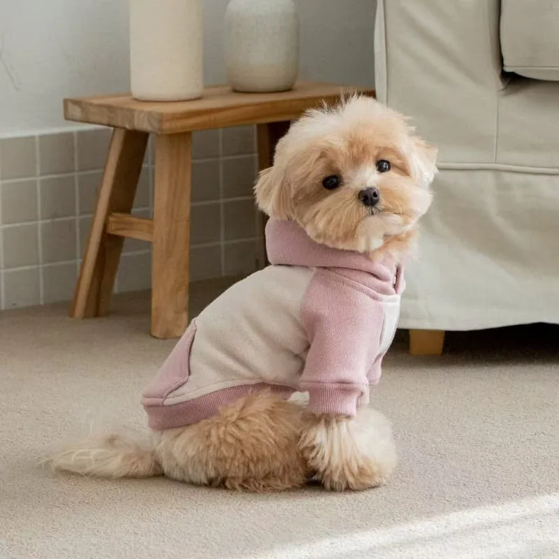 Moletom para Cães de Lã para Cães Pequenos e Médios - Imagem 5