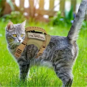 coleira peitoral tática para gatos ajustável