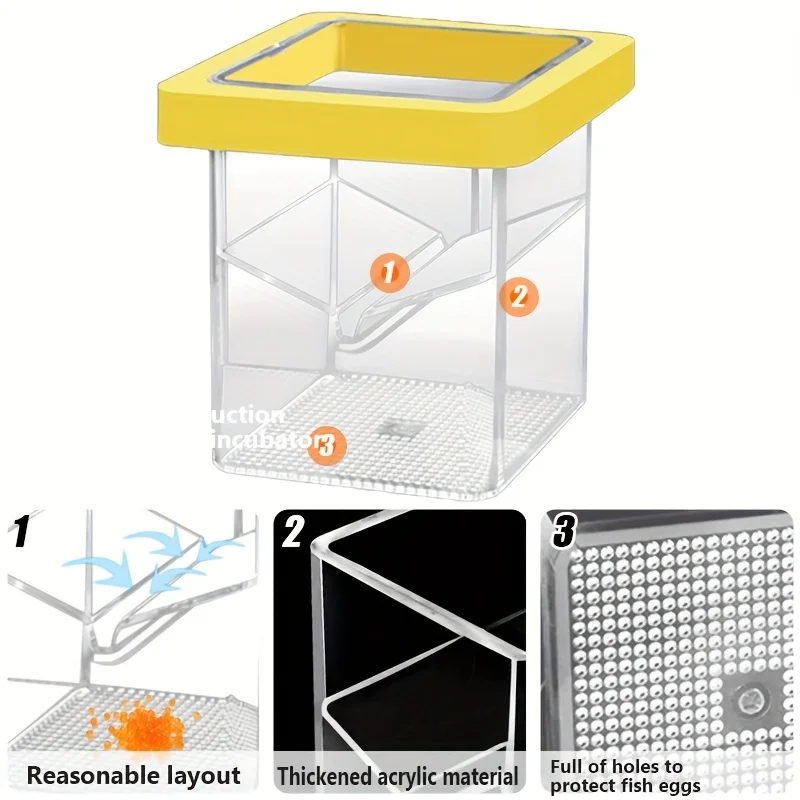 Caixa de Isolamento para Peixes Flutuante Transparente com Alimentador - Imagem 5