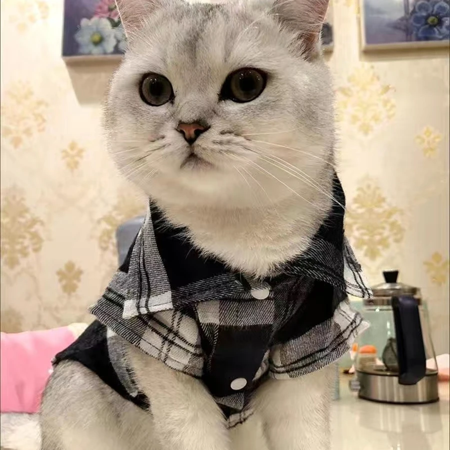 Casaco Camisa Xadrez para Cães e Gatos Pequenos - Imagem 6