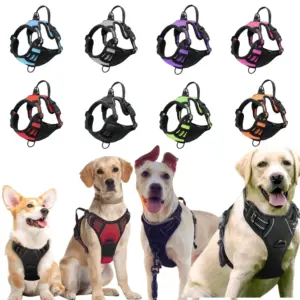 coleira ajustável para cães