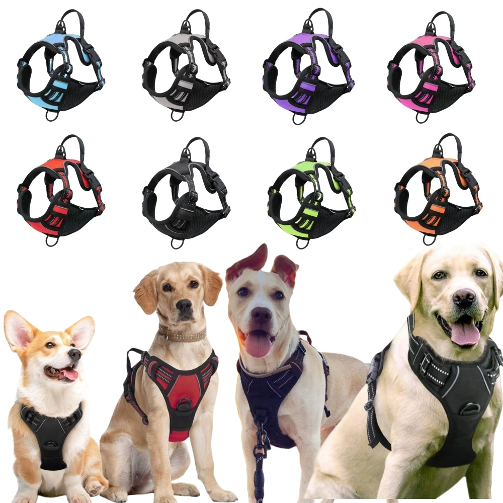 coleira ajustável para cães