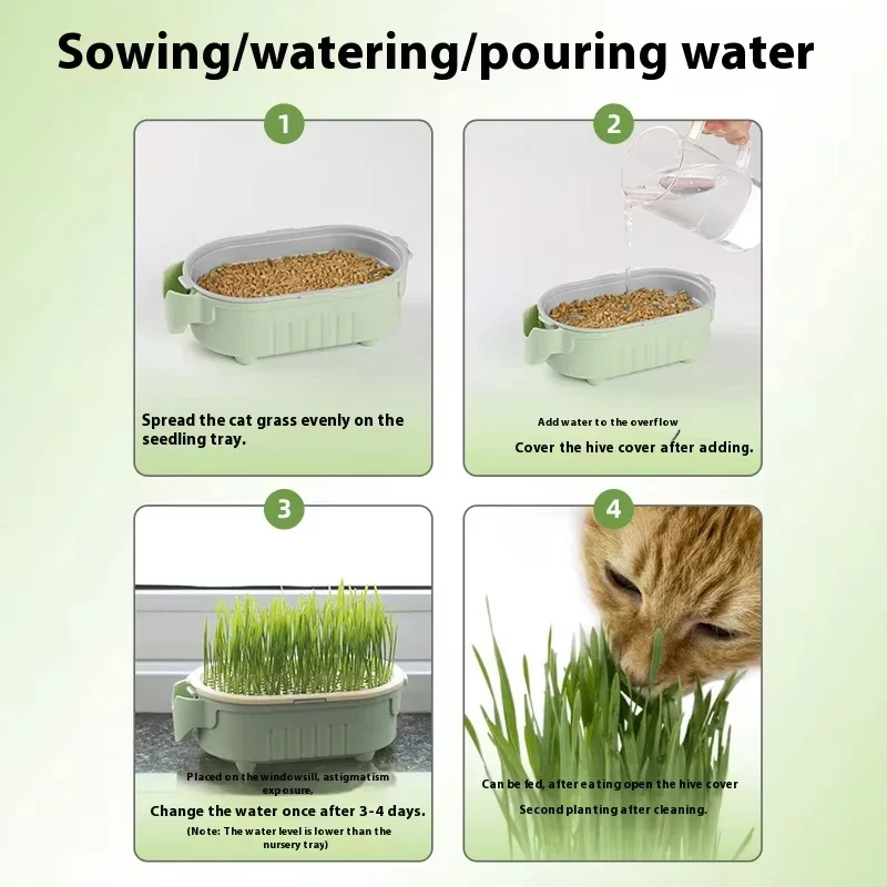 Kit Plantador de Grama Orgânica para Gatos com Tigela - Imagem 2