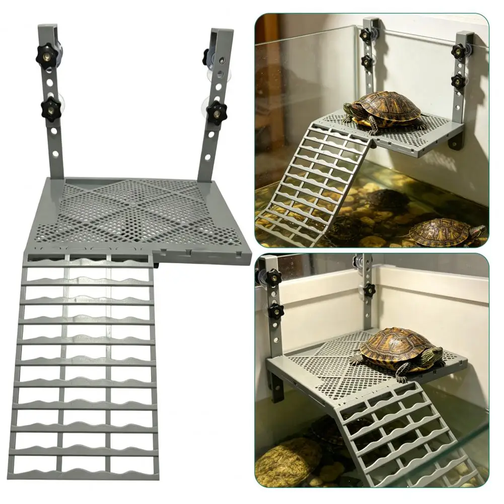 Plataforma Suspensa para Tartarugas com Ventosas e Rampa Antiderrapante - Image 2