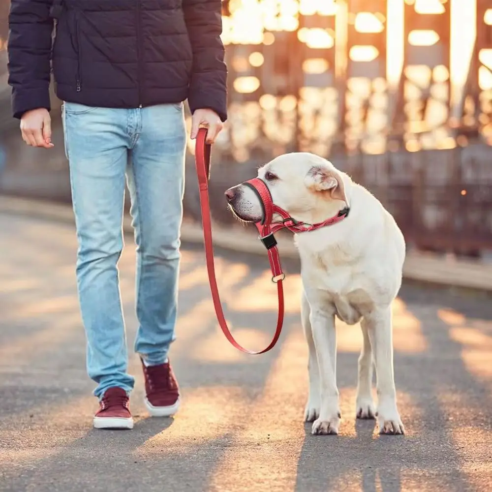 Coleira de Nylon para Cães Grandes Anti-Mordida - Image 4