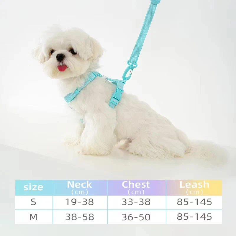 Coleira Ajustável para Cães Pequenos Cor Macarone com Detalhes Refletivos - Image 4