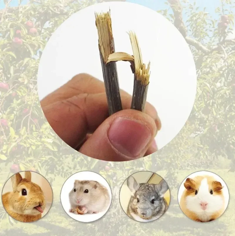 Palitos de Maçã para Roedores 100% Natural 12,5 cm - Imagem 3