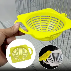 ninho bacia para pássaros canário
