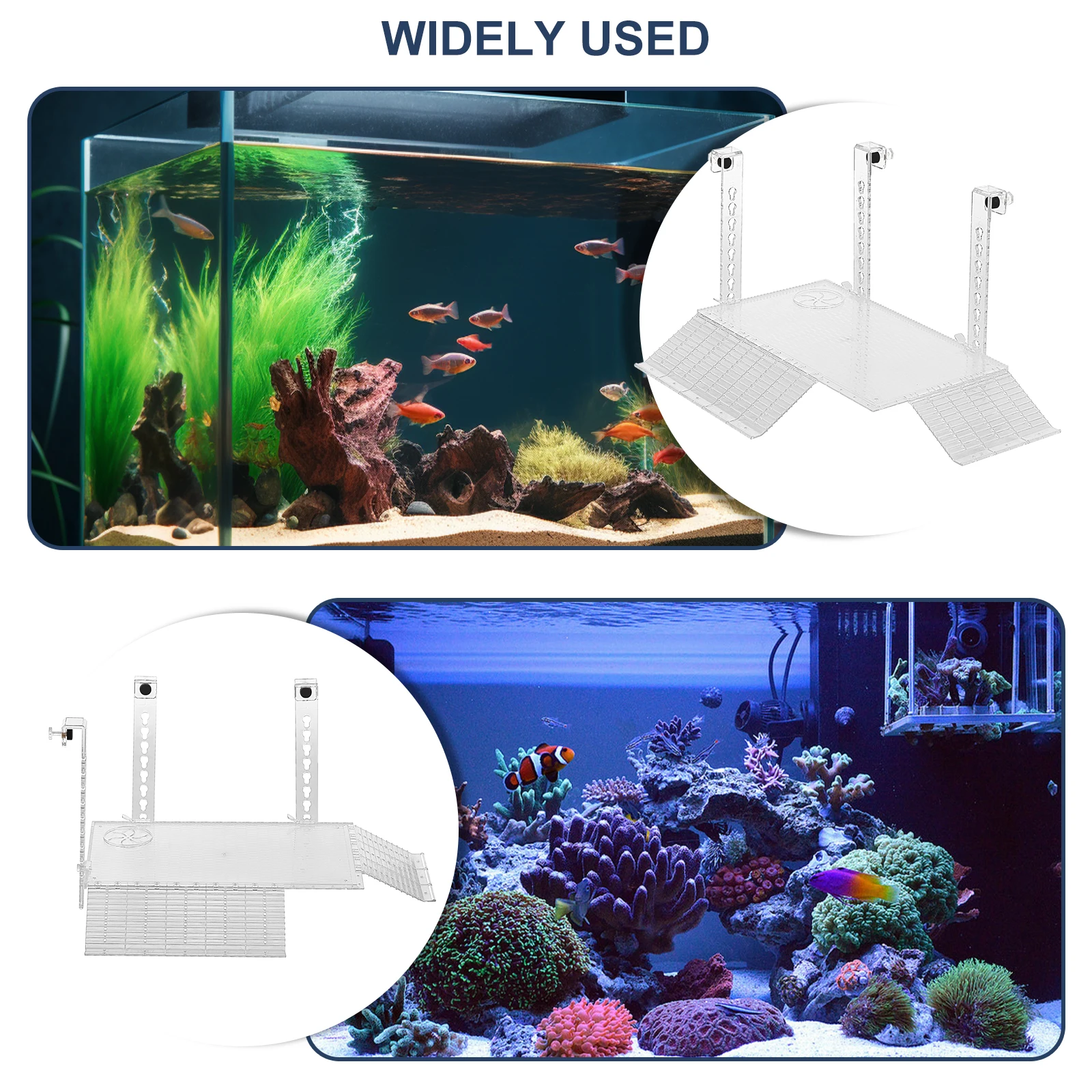 Plataforma para Tartarugas de Acrílico Transparente com Altura Ajustável - Imagem 2