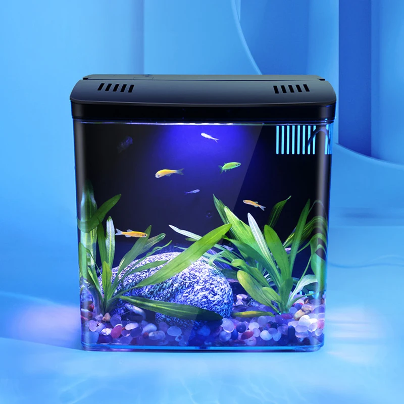 aquário de mesa para peixes