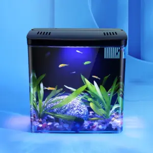 mini aquário para peixes de mesa