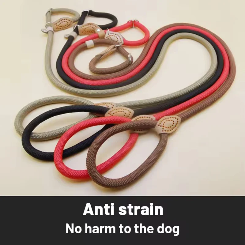 Guia Deslizante para Cães Grandes de Nylon Extra Longa e Grossa - Imagem 3