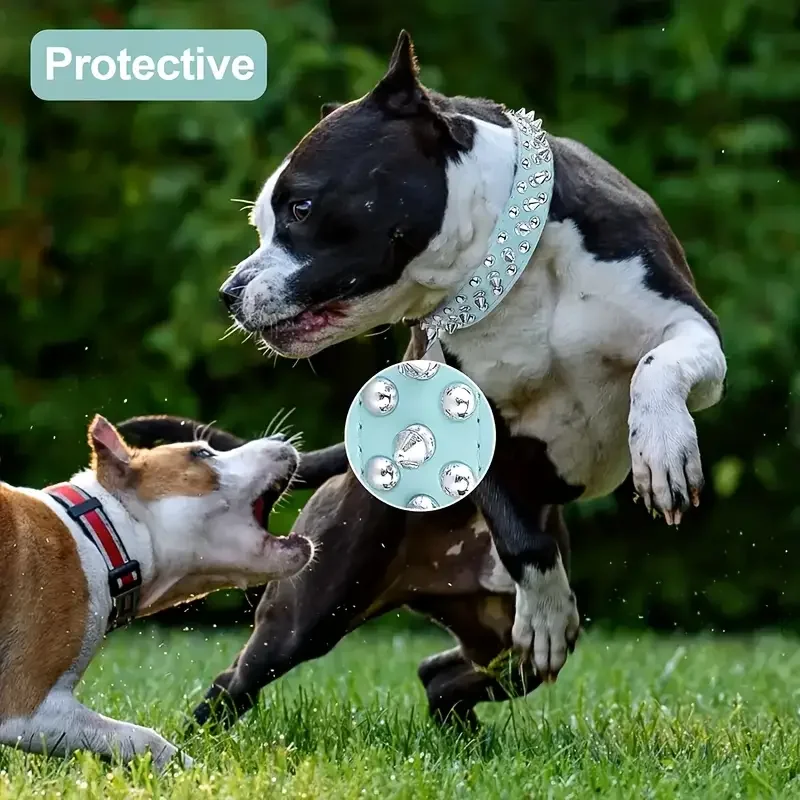 Coleira de Couro para Cães com Rebites Ajustável para Passeio - Image 6