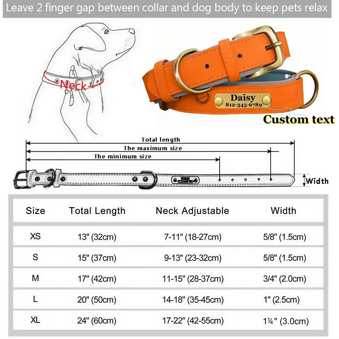 Coleira de Couro para Cães com Placa de Identificação Gravada - Image 4