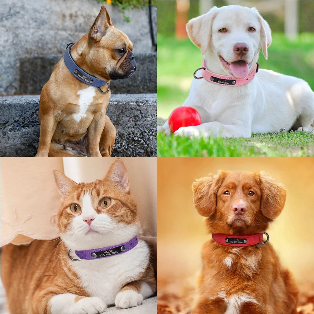 Coleira de Couro para Cães com Placa de Identificação Gravada - Image 3