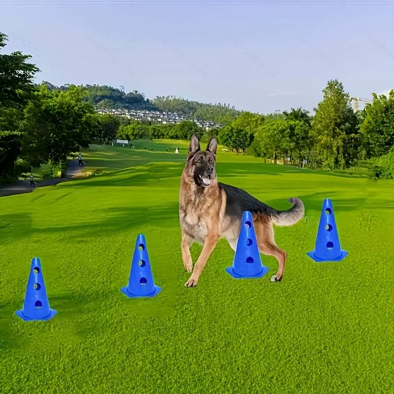 Kit Agilidade para Cães com Balde e Suporte para Barreiras - Image 3