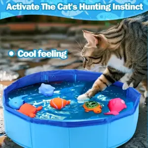piscina dobrável para cães e gatos