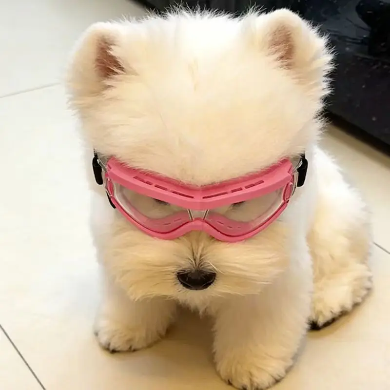 Óculos de Sol para Cães com Proteção UV e Lentes à Prova de Vento - Imagem 3