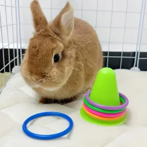 brinquedo para coelhos casquinha de sorvete