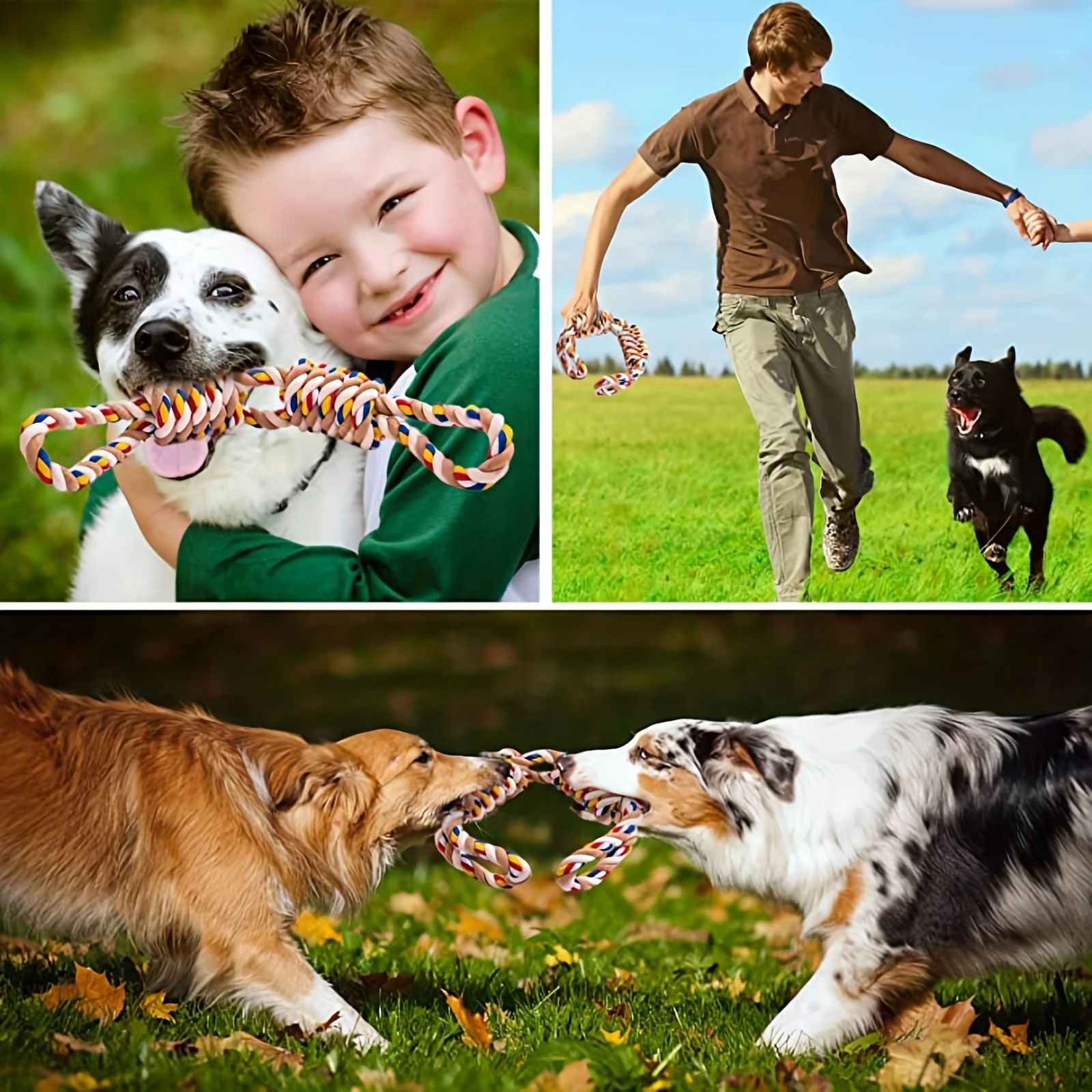 Brinquedo de Corda para Cães com Algodão Natural Resistente - Imagem 6